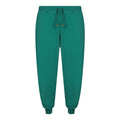 Parajumpers Makalu Billard Green Joggers L