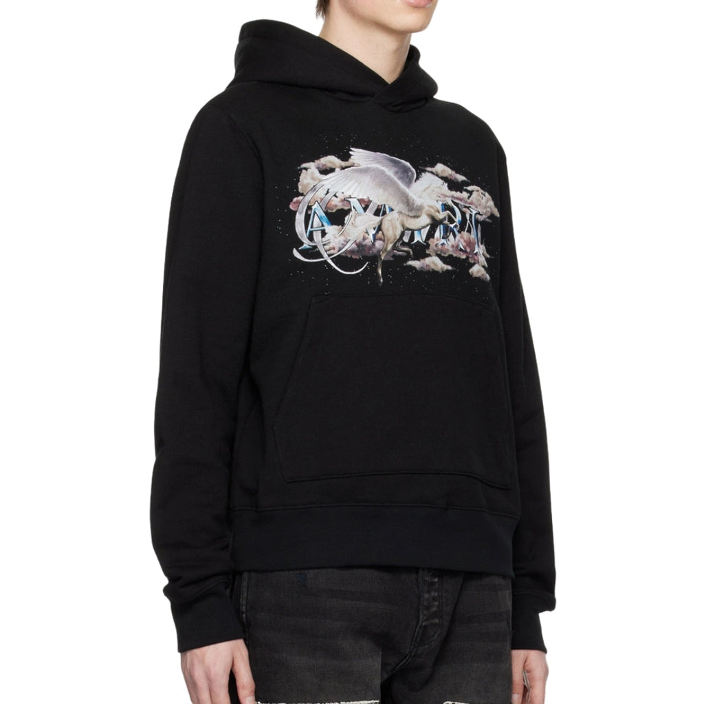 The Amiri Pegasus Script Hoodie